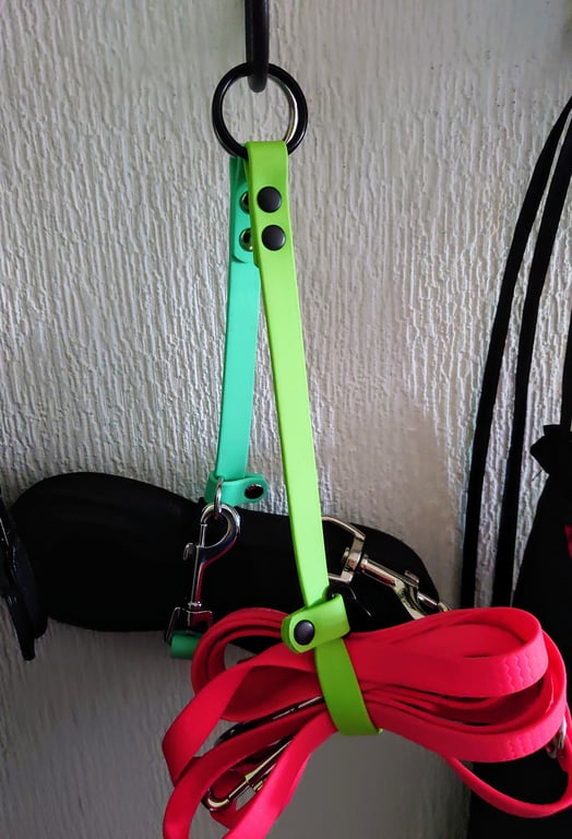 Porte-laisse d'Orion personnalisé en biothane 16 mm
