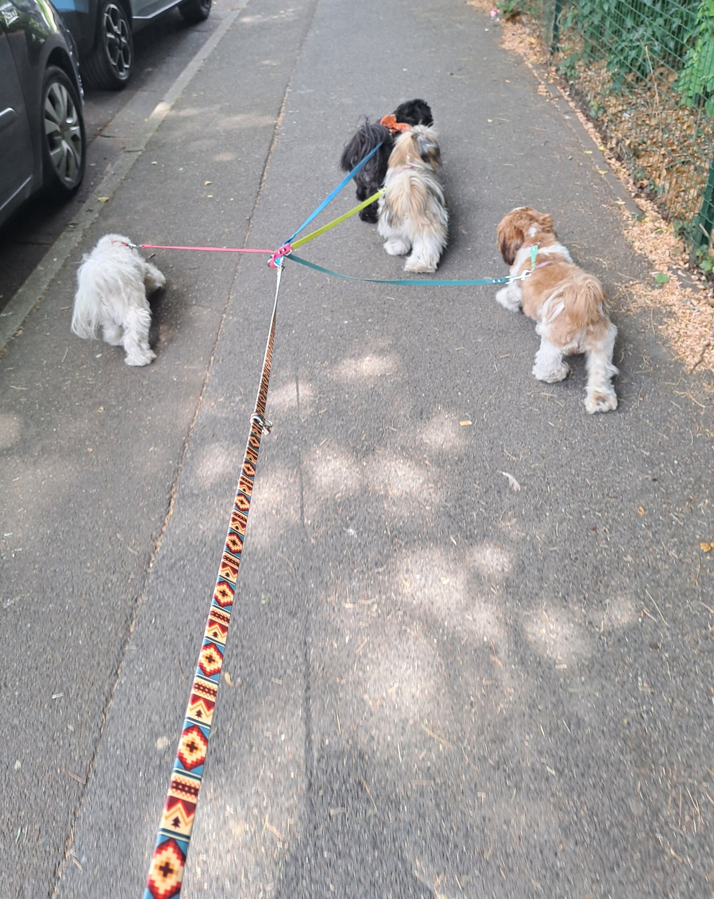 Coupleur de laisse pour chiens 360° anti-nœud en Hexa – Triple, Quadruple et Quintuple – Pattababoune