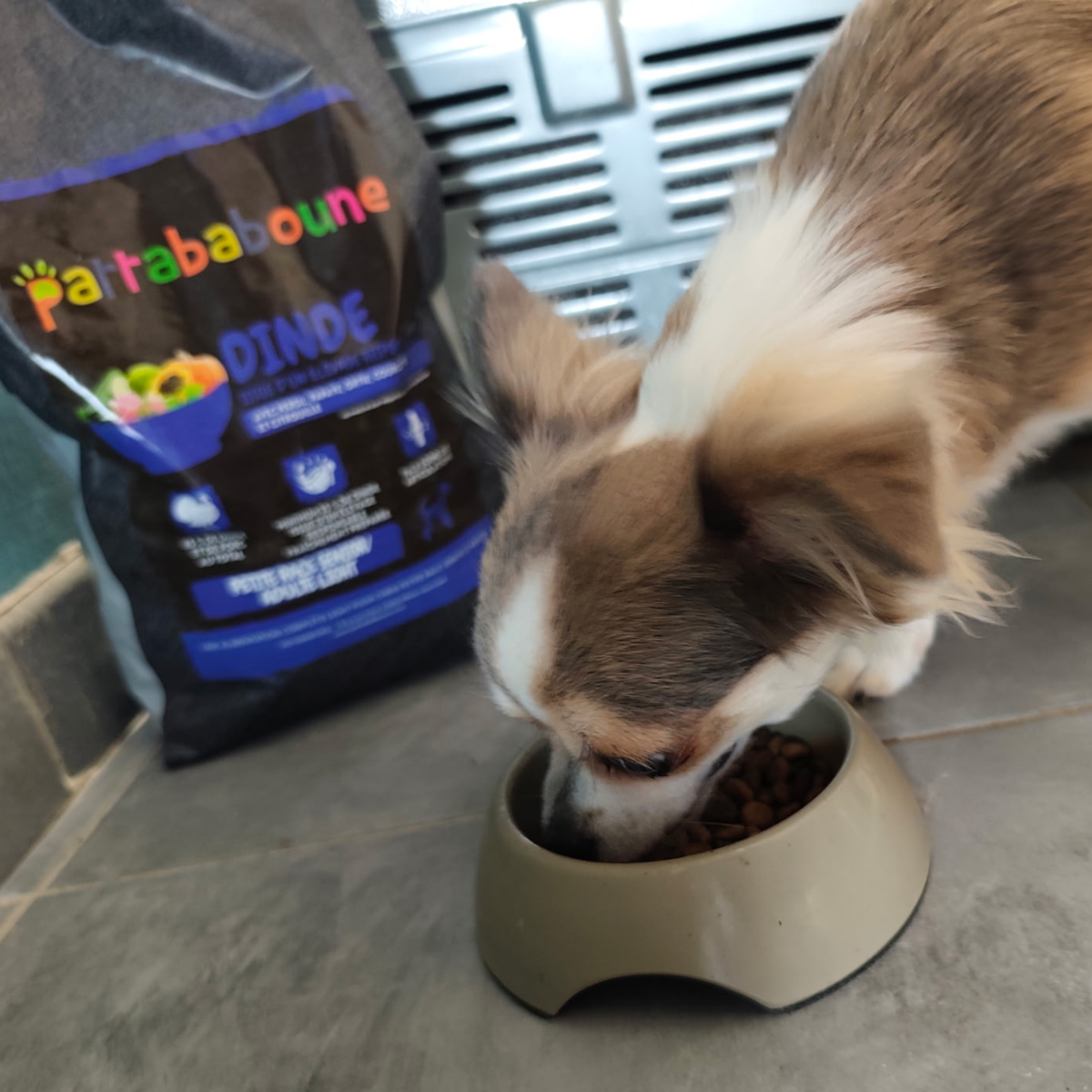 Croquettes premium dinde et porc sans céréales - Chien petite race senior & adulte light
