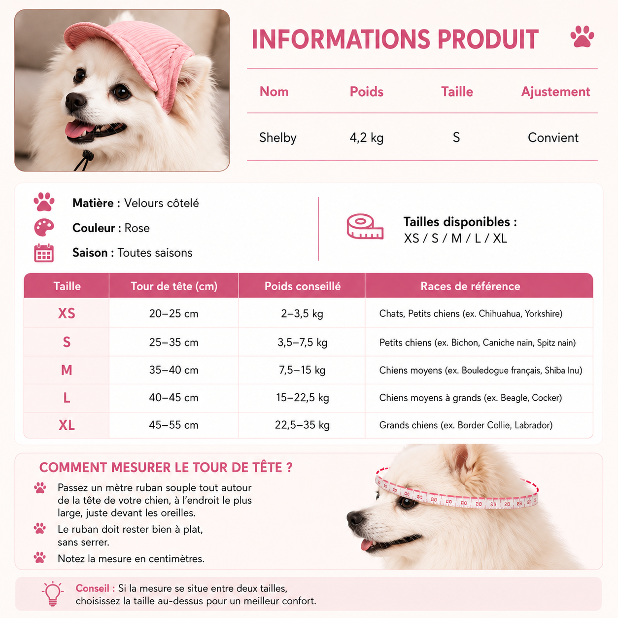 Casquette pour chien