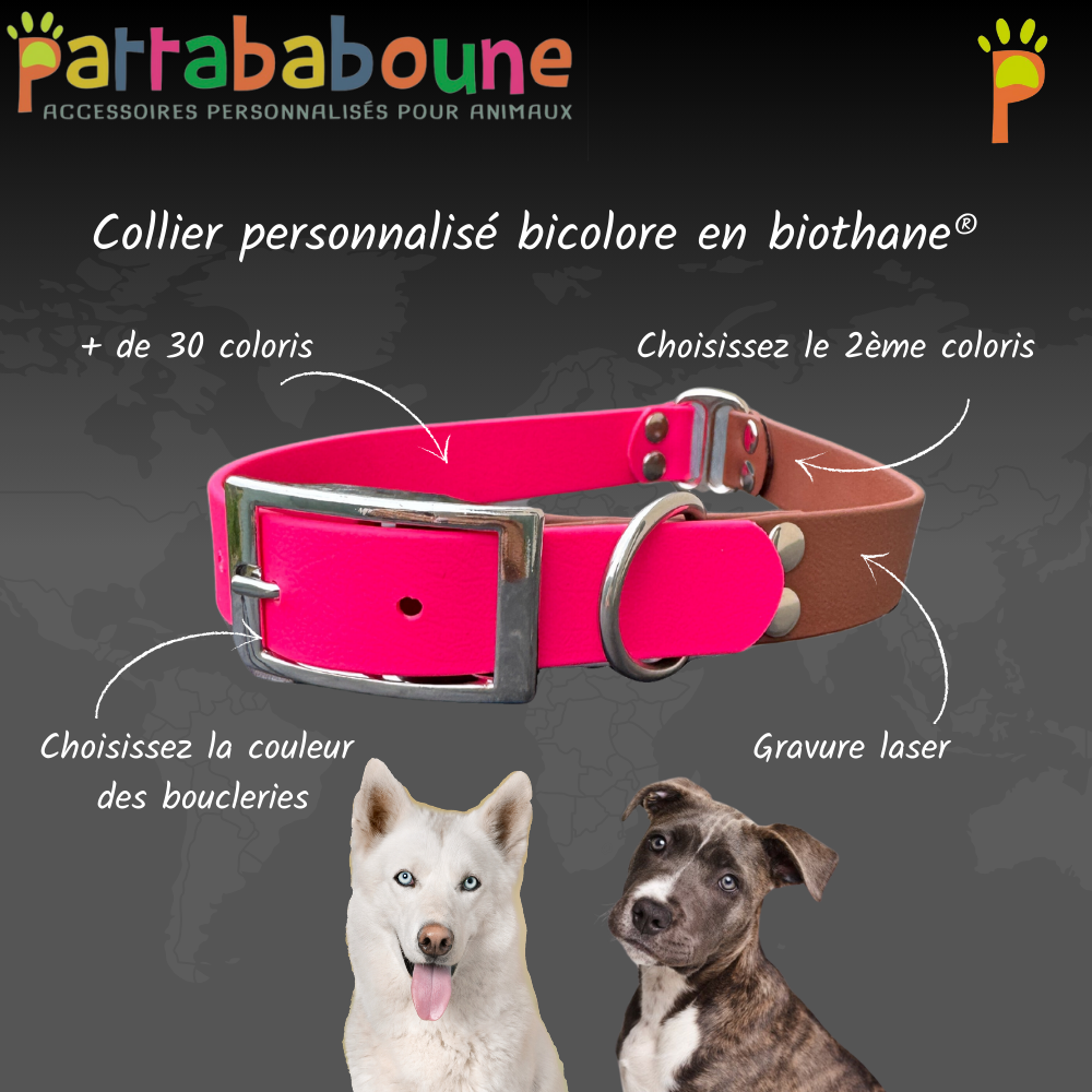 Collier personnalisé bicolore en biothane 25 mm