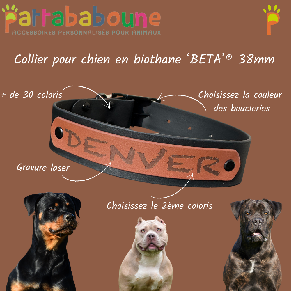 Collier personnalisé spécial Pattababoune en biothane 38 mm