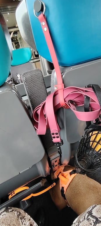 Porte-laisse d'Orion personnalisé en biothane 16 mm