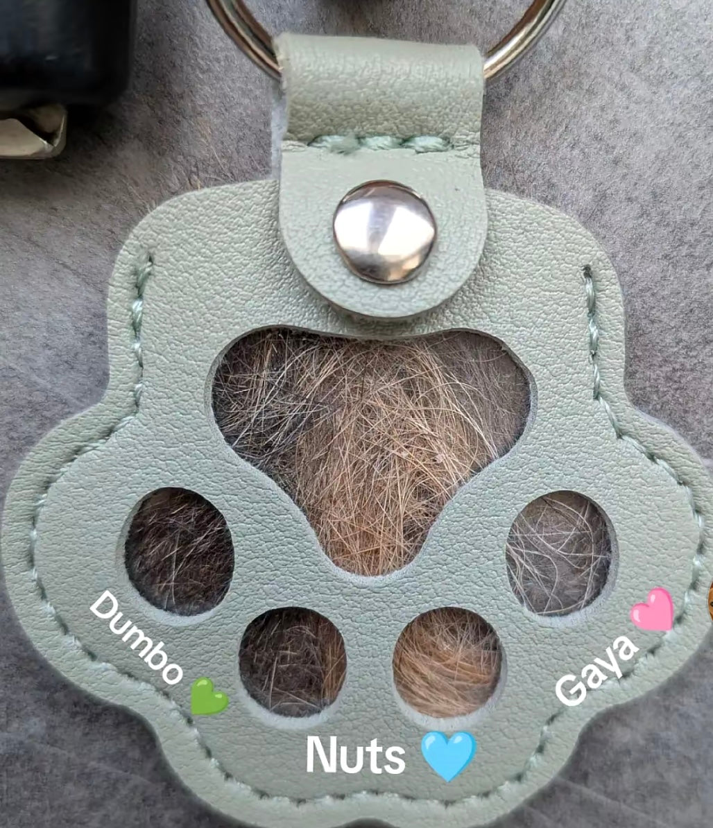 Porte-clés Souvenir Poils d'Animal - Forme Patte - Gravure Laser en Option