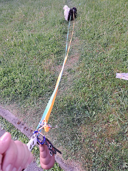 Laisse multiposition personnalisée en biothane 16 mm