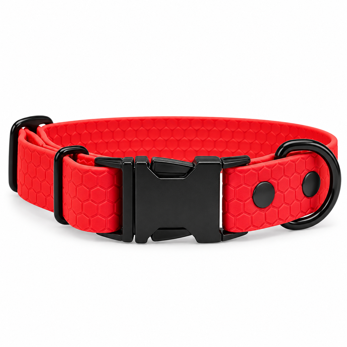 Collier chien personnalisé – Clip sécurisé – Hexa 25 mm