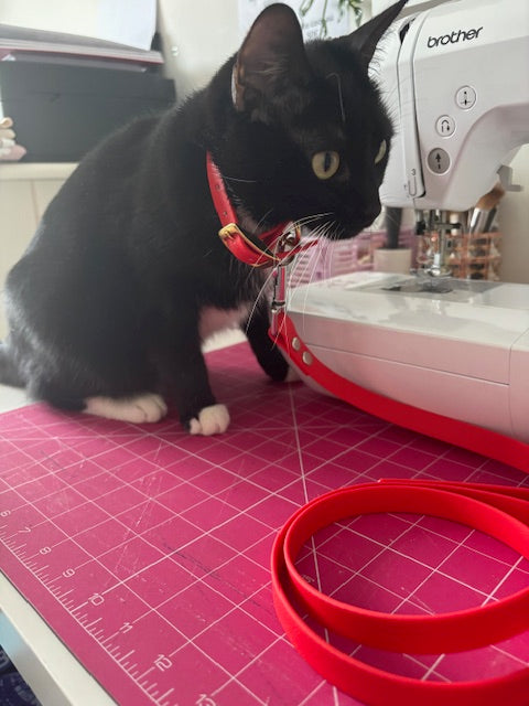 Collier personnalisé en TPU 16 mm