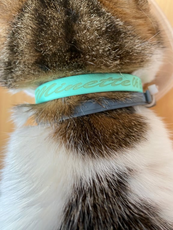 Collier personnalisé Pimy anti-étranglement pour chat en biothane 9 mm