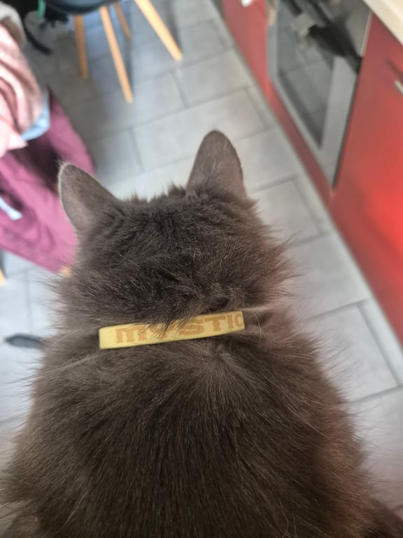 Collier personnalisé Pimy anti-étranglement pour chat en biothane 9 mm