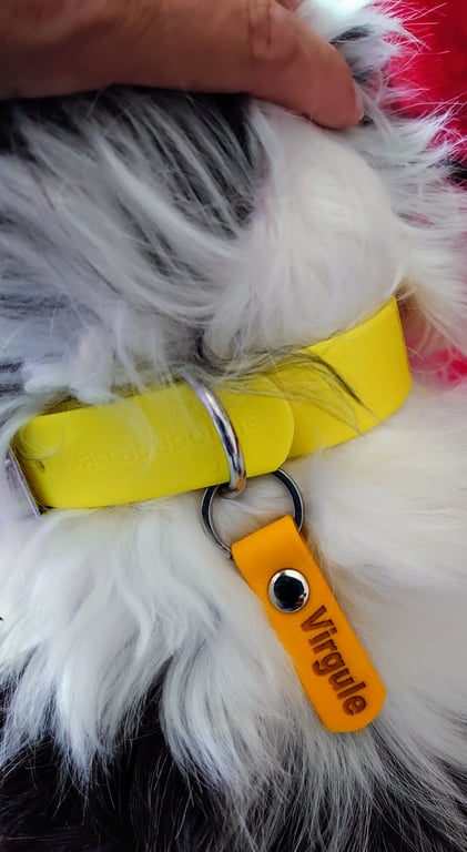 Médaille TPU personnalisée - gravure offerte