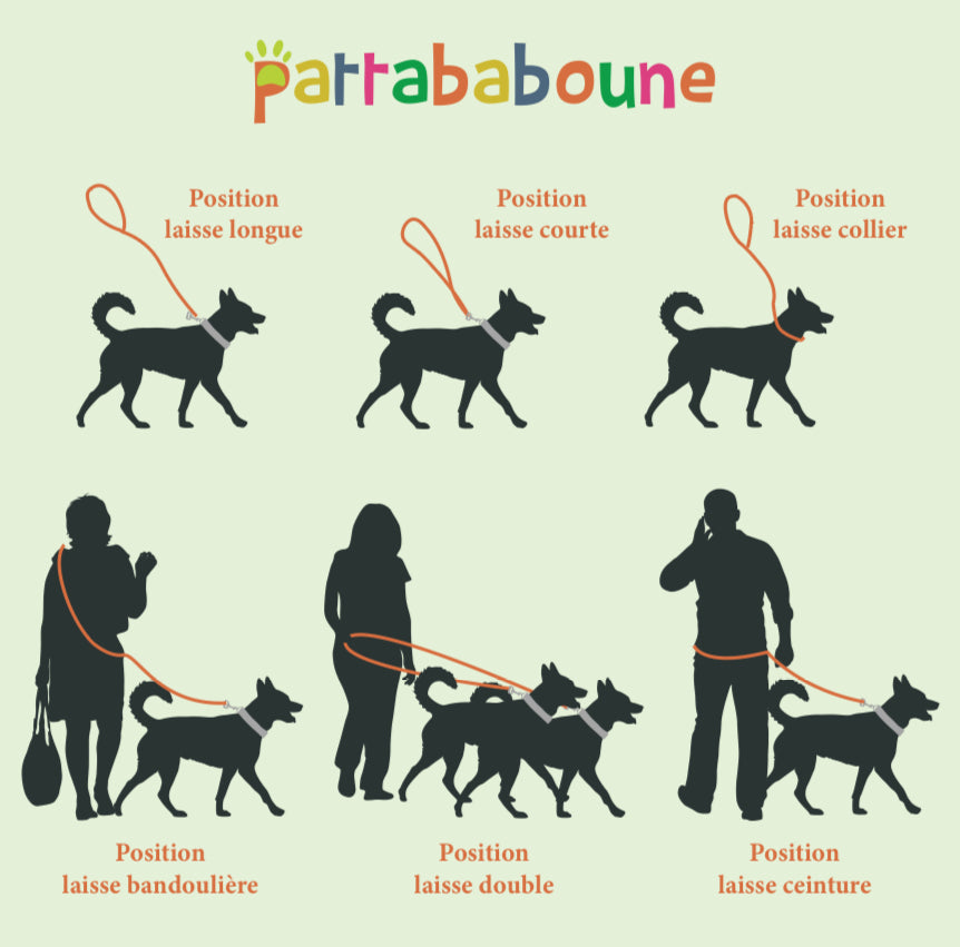 Laisse multiposition édition limitée "Léopard" - Biothane 16 mm