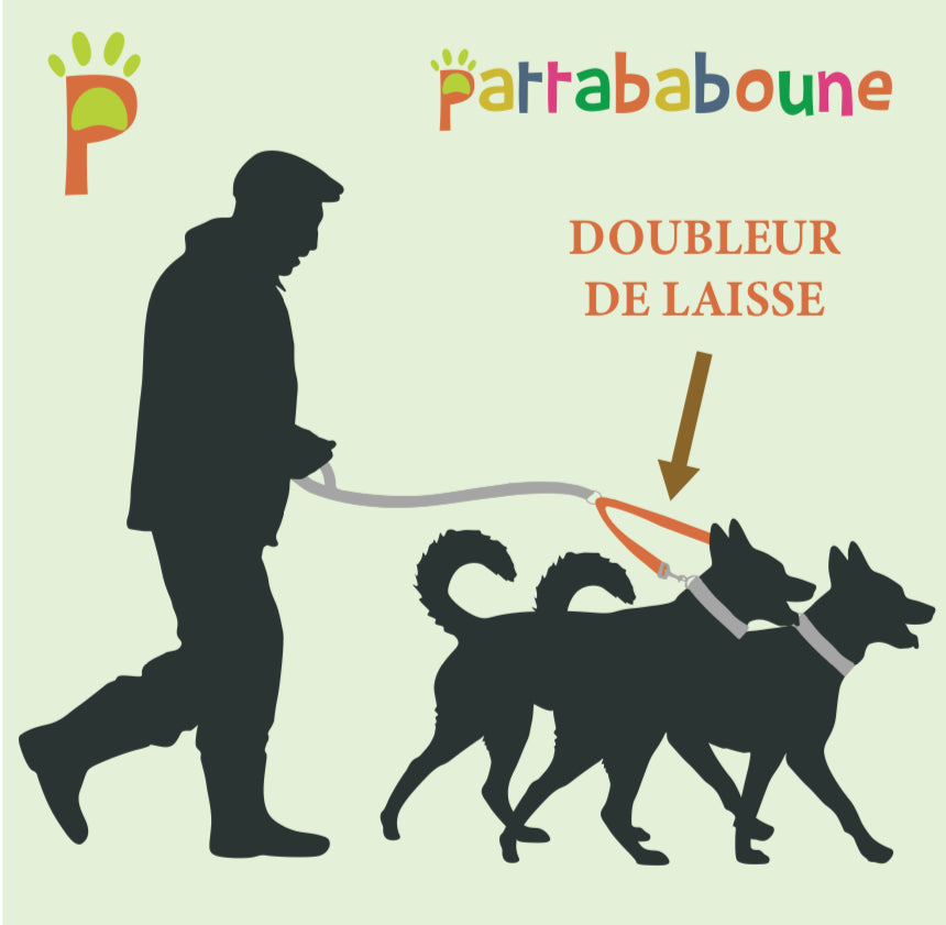 Doubleur de laisse personnalisé en biothane 9 mm