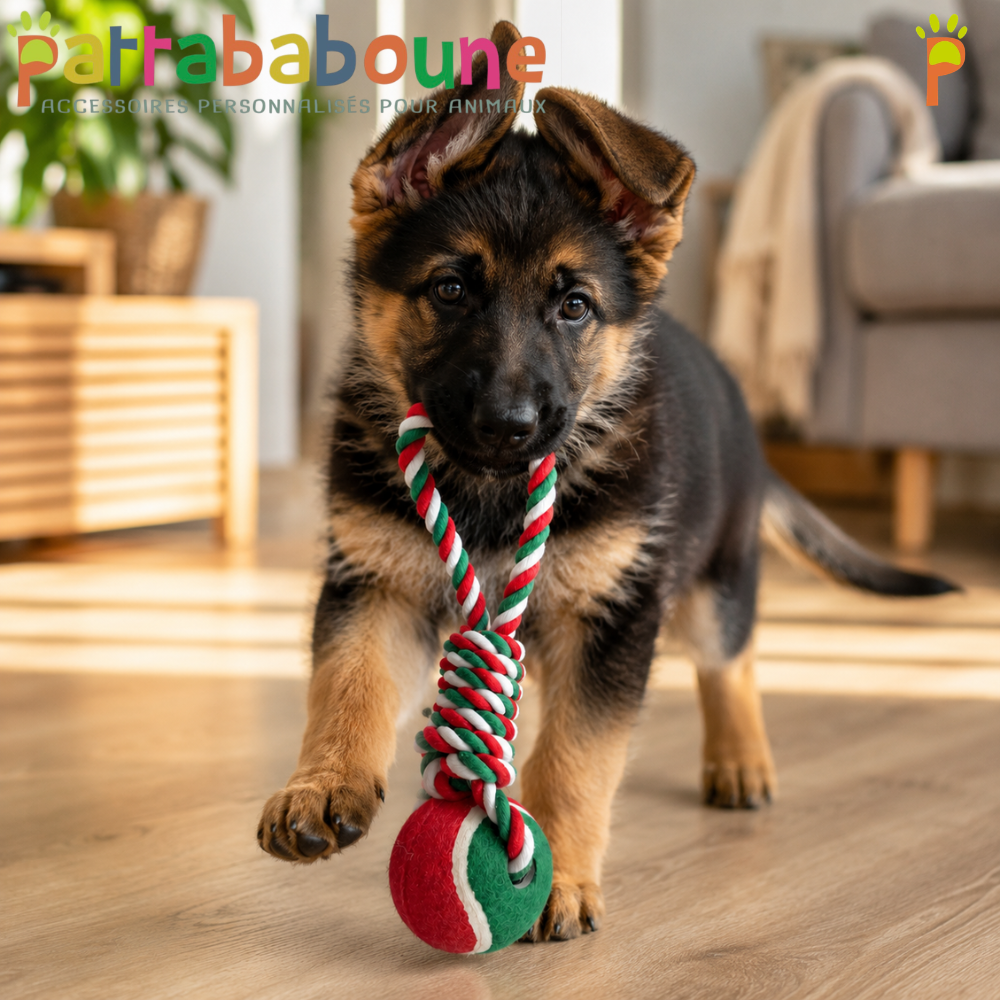 Jouet en corde avec balle pour chien - 25 cm