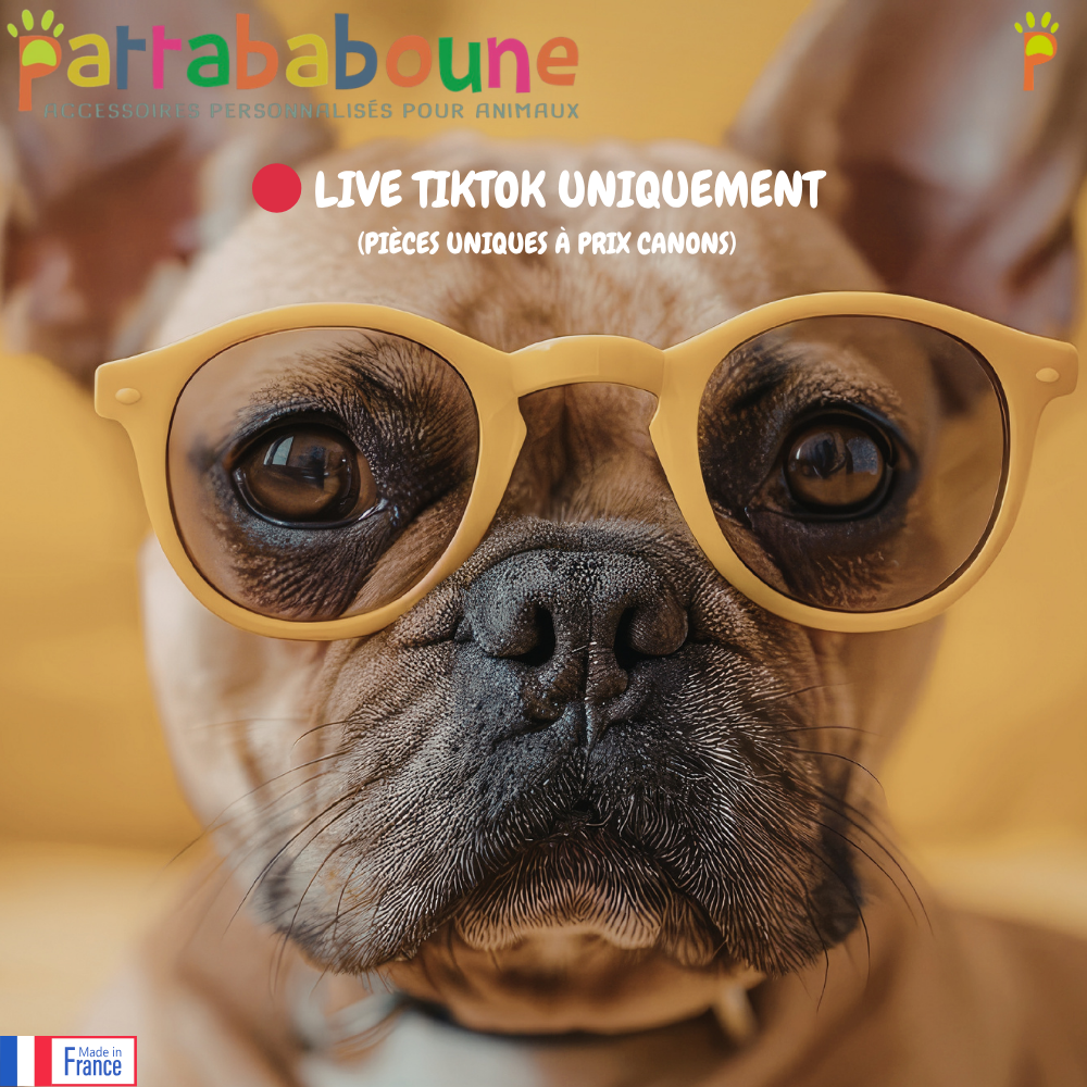 Offres exclusives du LIVE TikTok