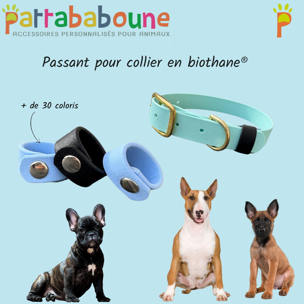 Passant pour collier en biothane