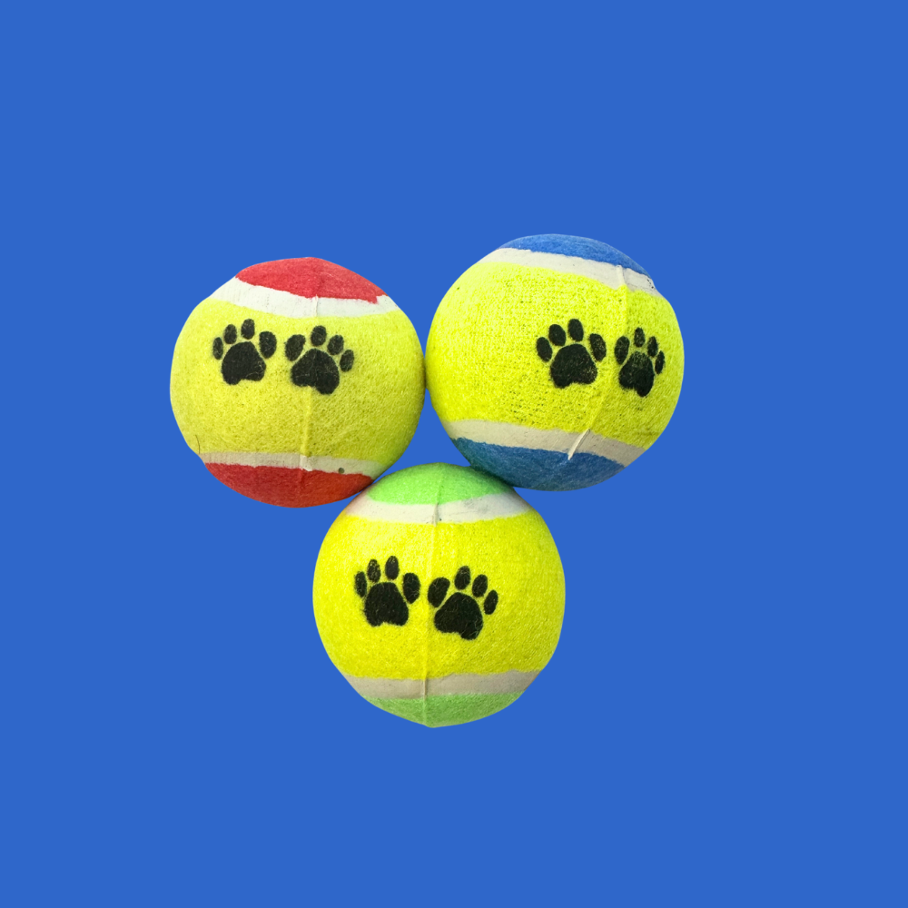 Balle tennis pour chien - Compatible porte-balle Pattababoune