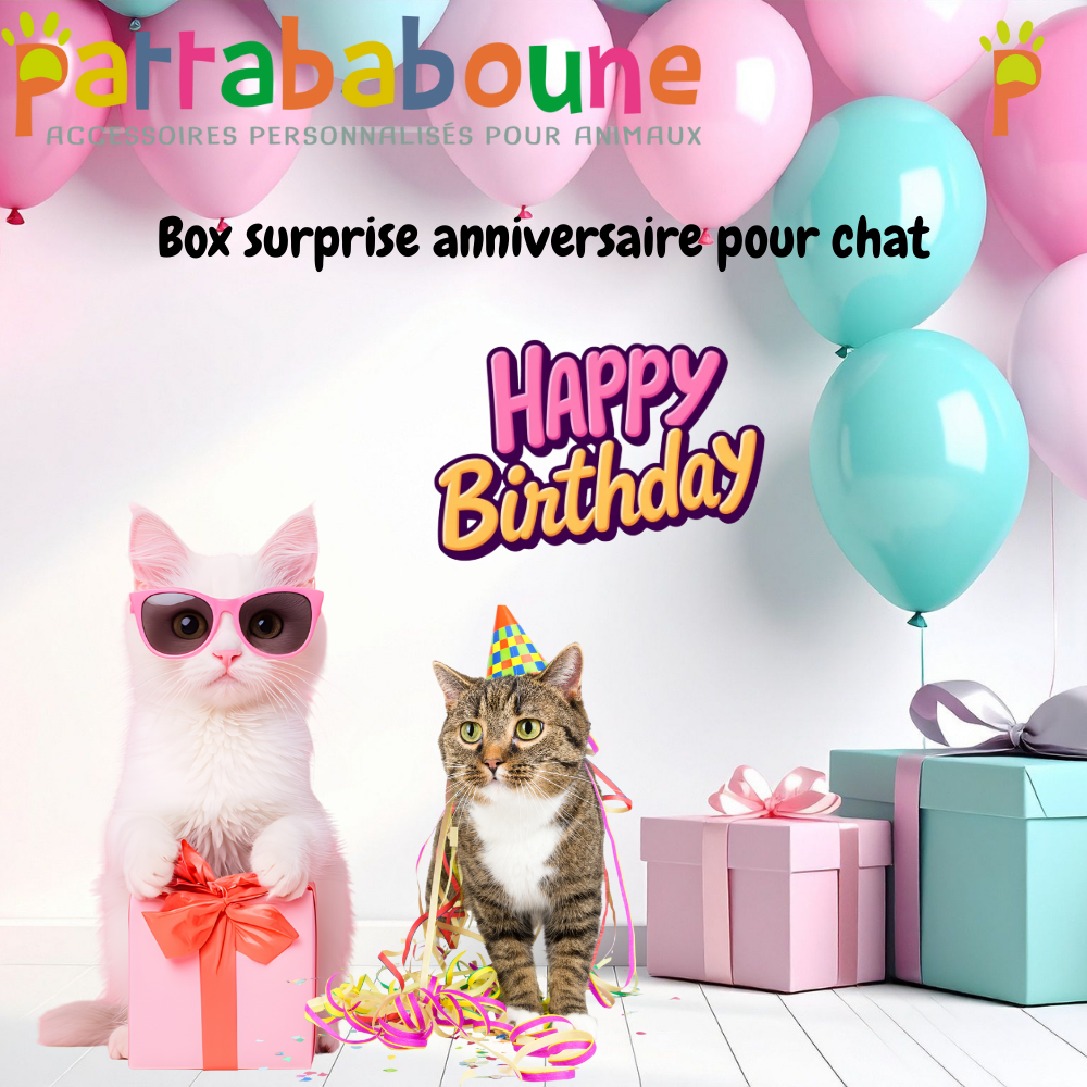 Box surprise anniversaire pour chat | Pattababoune