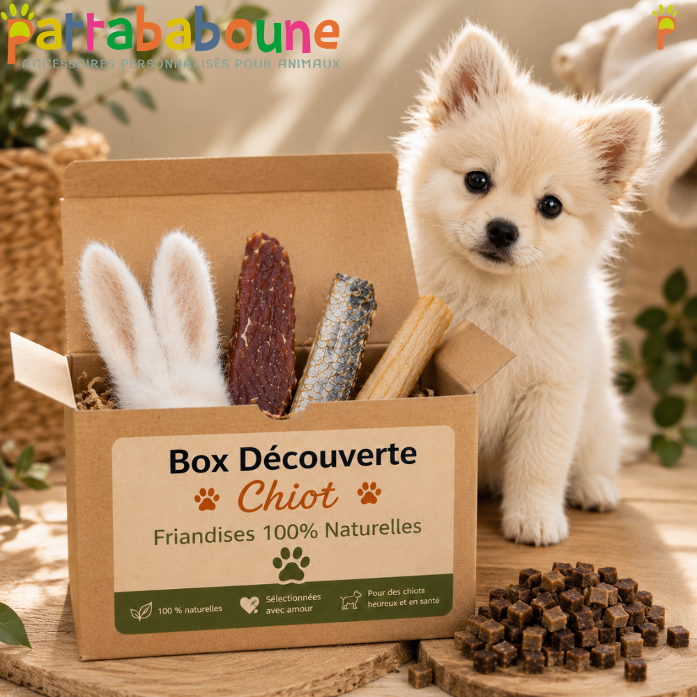Box friandises découverte pour chiot 100% naturelle | Pattababoune