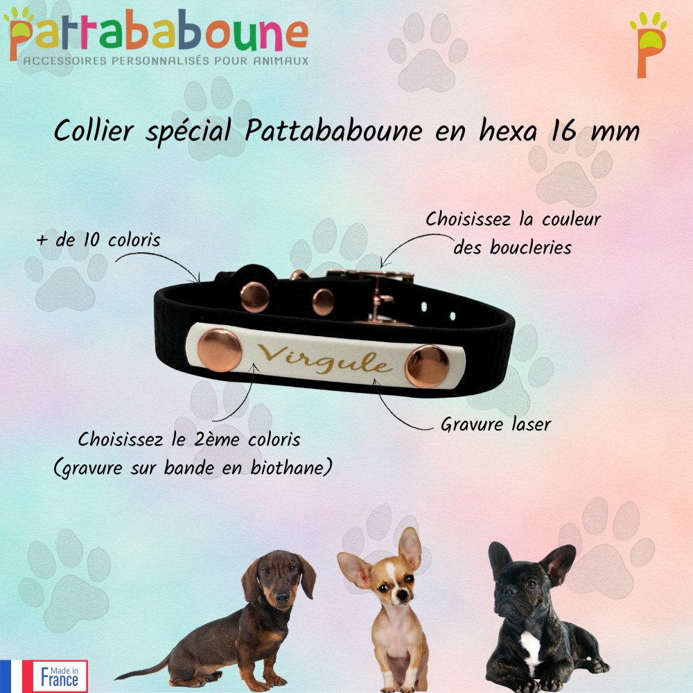 Collier personnalisé spécial pattababoune en hexa 16 mm