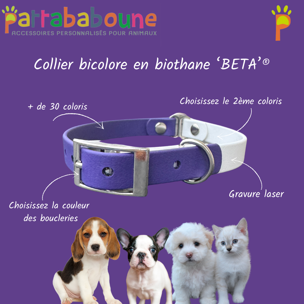 Collier personnalisé bicolore en biothane 16 mm
