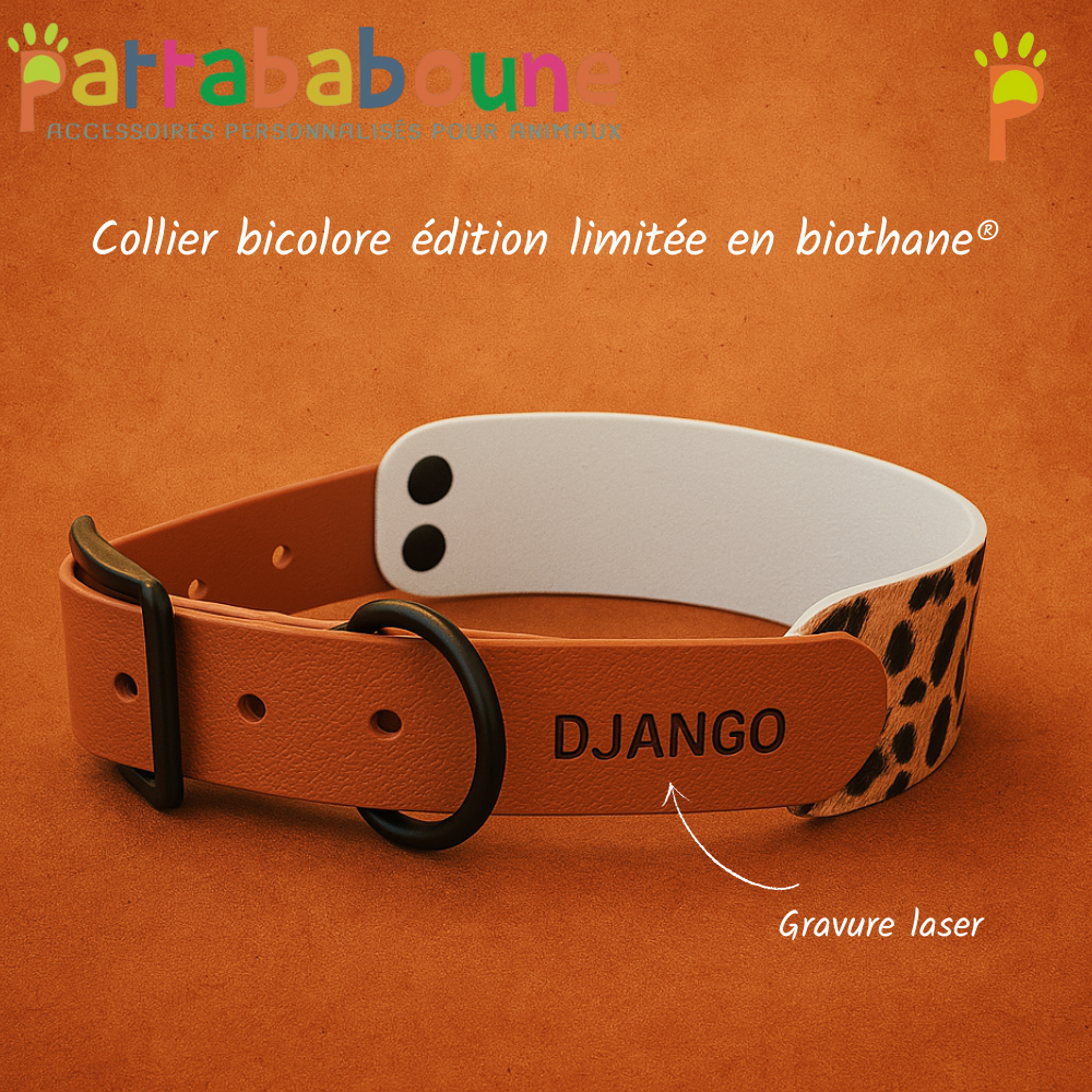 Collier bicolore édition limitée "léopard" en biothane 38 mm et 25 mm