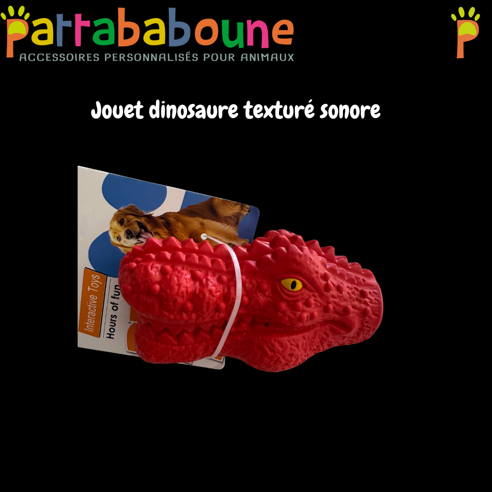Jouet pour chien dinosaure texturé sonore