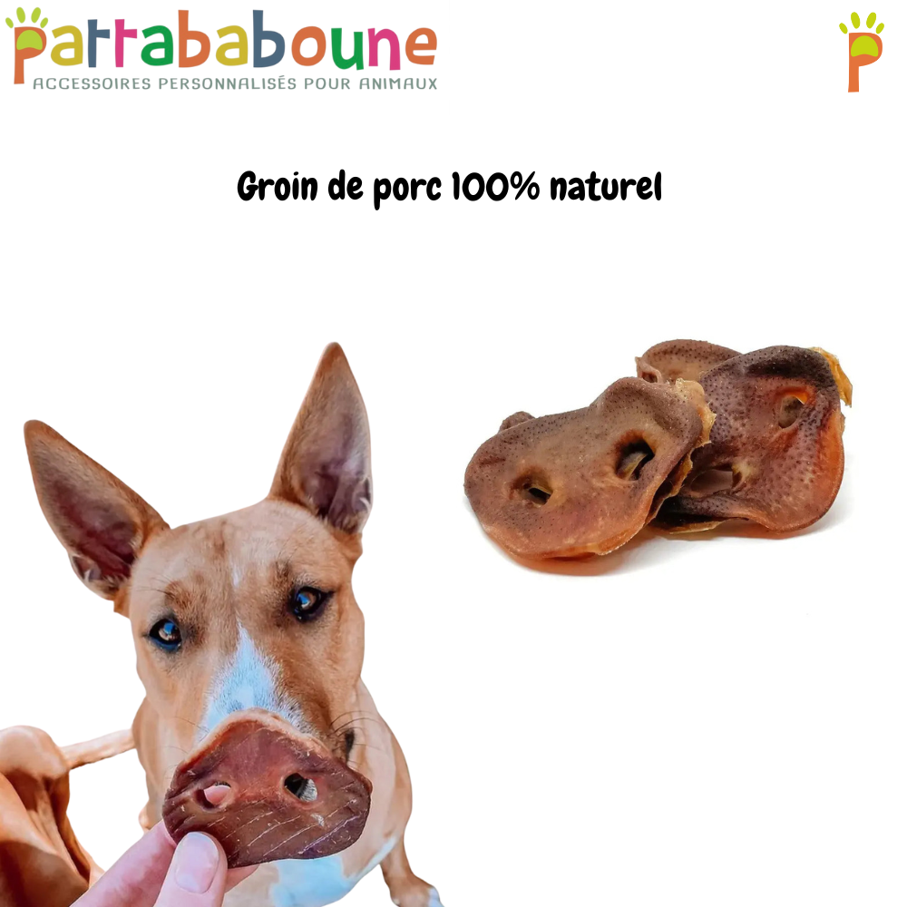 Groin de porc XL pour chien 100 % naturel