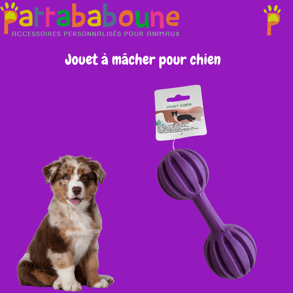 Jouet à mâcher pour chien
