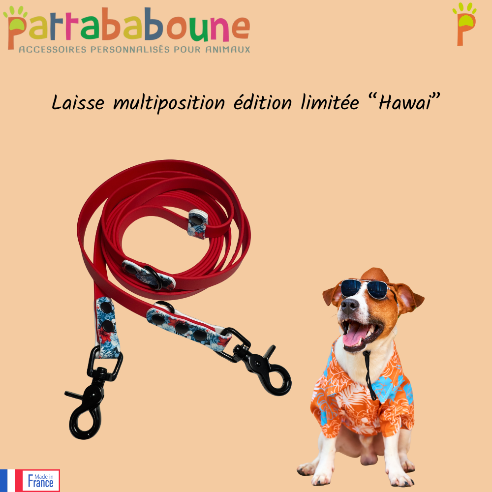 Retrouvez ici les pièces exclusives du live encore disponibles