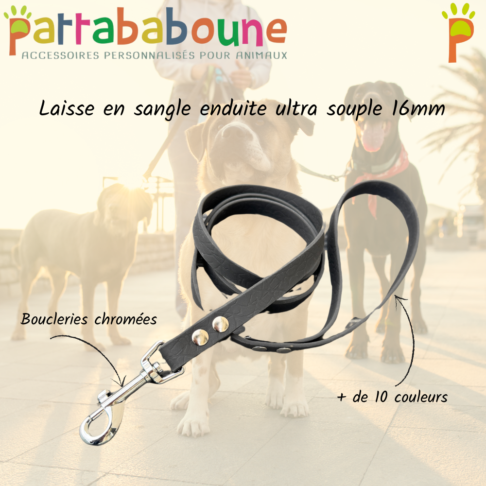 Laisse en TPU ultra souple 16 mm