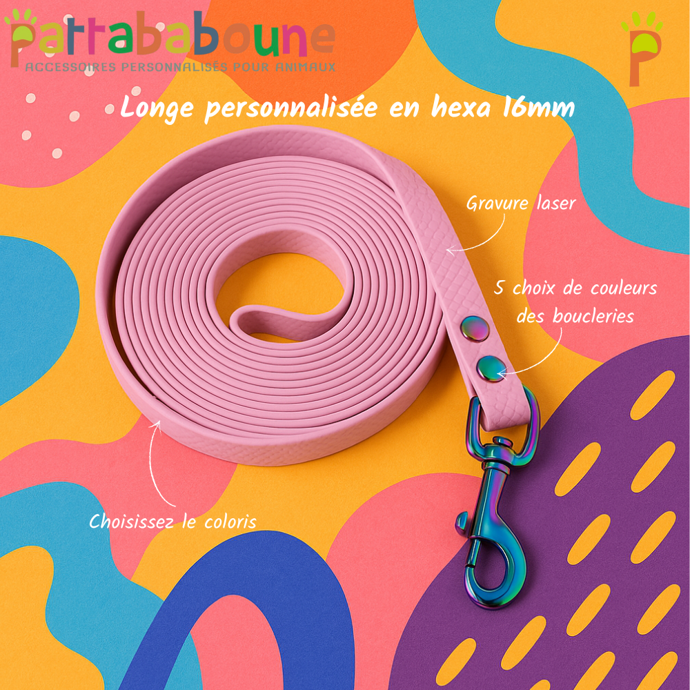 Custom dog leash - Hexa 16 mm