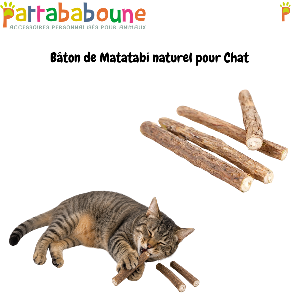 Bâton de Matatabi naturel pour Chat