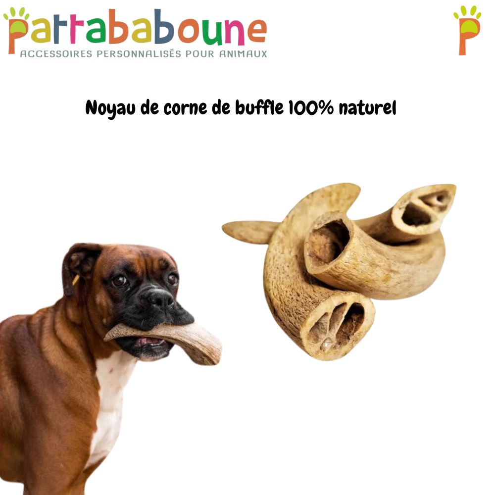 Noyau de corne de buffle 100% naturel