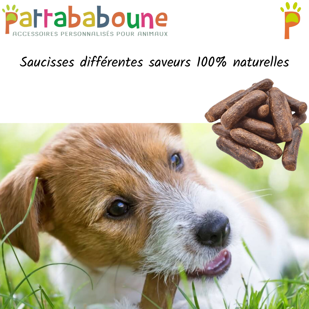 Saucisses différentes saveurs pour chien 100 % naturelles