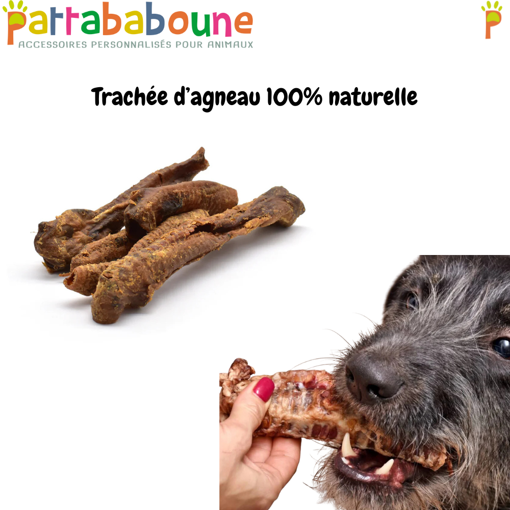 Trachée d'agneau 100% naturelle - à l'unité