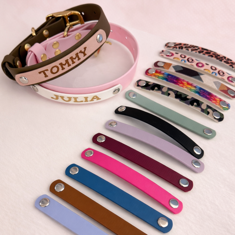 Collier chien Biothane personnalisé - Bande interchangeable 25 & 16 mm - Modèle Végas