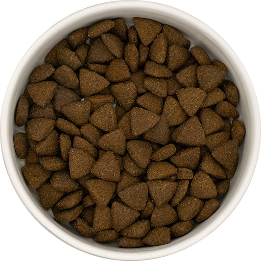 Croquettes sans céréales pour chien : comment choisir sa recette ?
