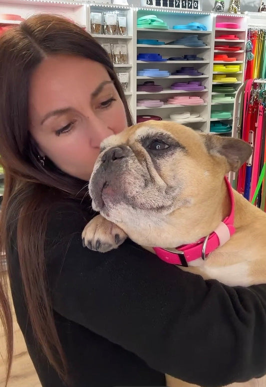 La perte d'un animal : hommage à ma chienne Vegas