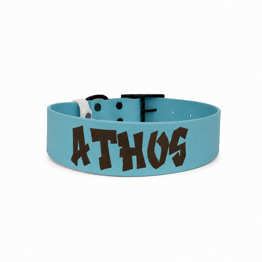 Collier personnalisé Biothane 38 mm pour chien - Gravure laser