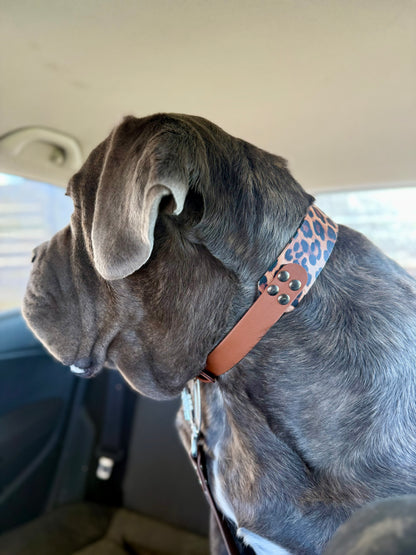 Collier double Biothane - Édition limitée 38 & 25 mm