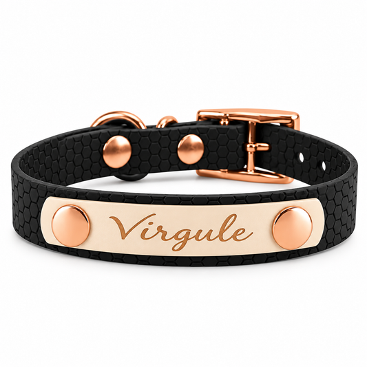 Collier personnalisé pour chien et chat - Hexa 16 mm - Spéciale Pattababoune