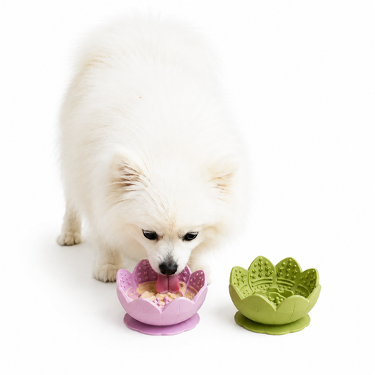 Bol de léchage fleur chien & chat — PRÉCOMMANDE