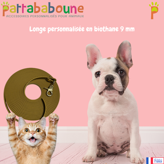 Longe personnalisée en biothane - 9 mm