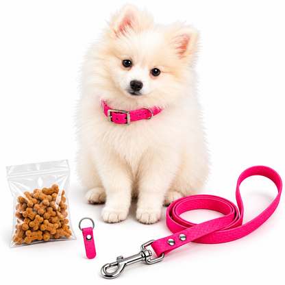 Kit chiot personnalisé Hexa : collier, laisse, médaille et friandises
