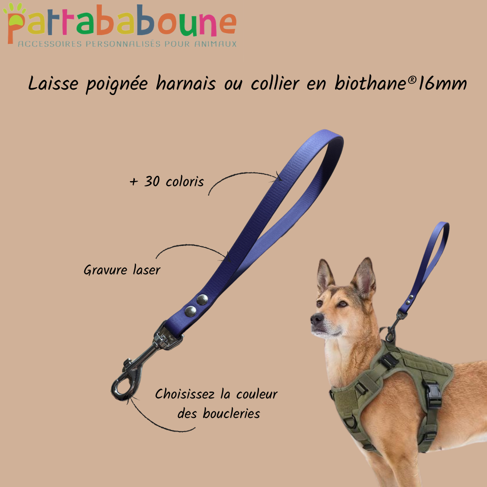 Laisse poignée chien personnalisable en biothane 16mm