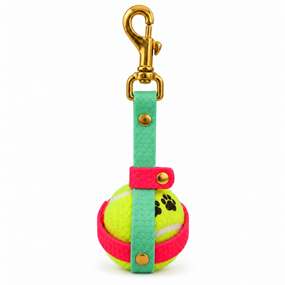Personalized 16mm hex dog ball holder