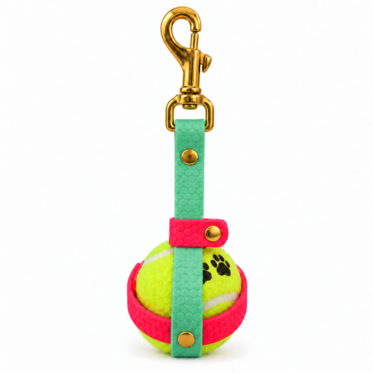 Personalized 16mm hex dog ball holder
