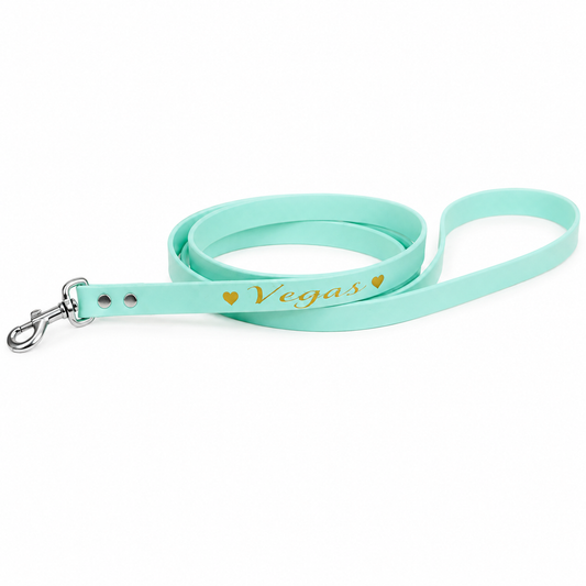 Laisse personnalisée chien & chat – Biothane, Hexa et TPU – 9, 16, 25 mm