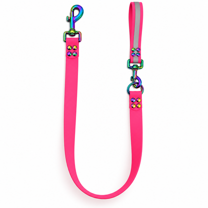 Laisse interchangeable personnalisée en biothane 16 et 25 mm