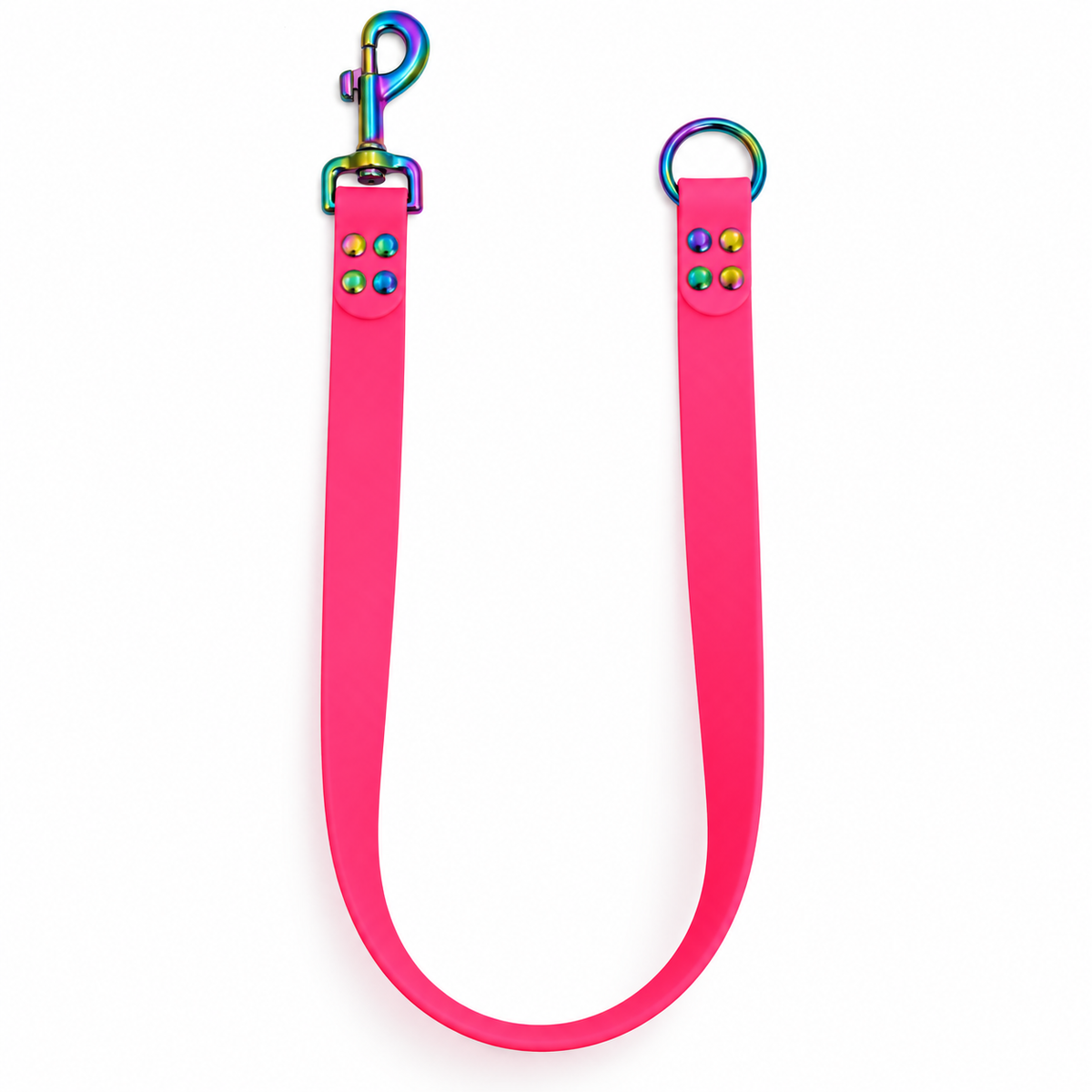 Laisse interchangeable personnalisée en biothane 16 et 25 mm